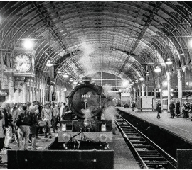 Paddington